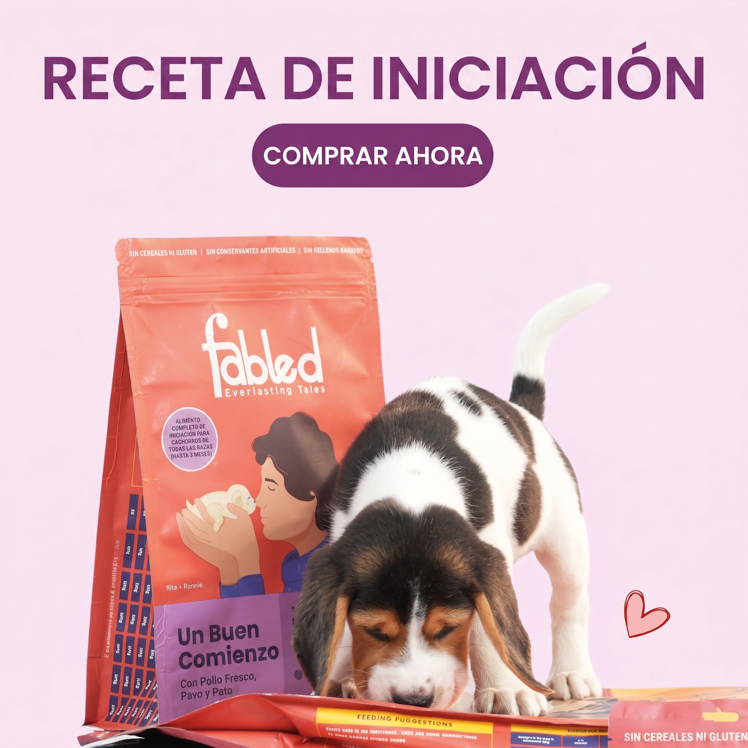 Receta de entrada