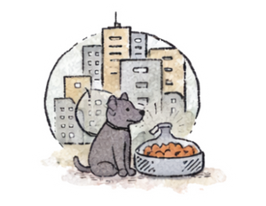 Nutrición para un estilo de vida urbano