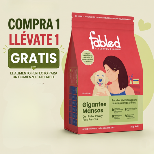 Paquete de 2 figuras de Gigantes Gentiles