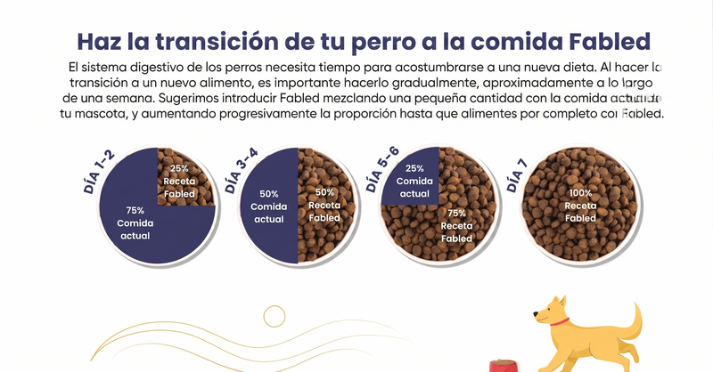 Transición legendaria