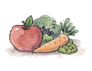 Nutrición funcional