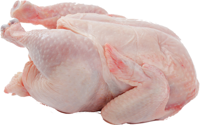 Pollo