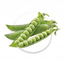 Guisantes