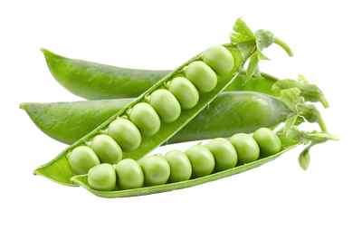 Guisantes