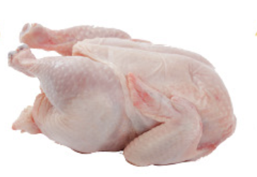 Pollo